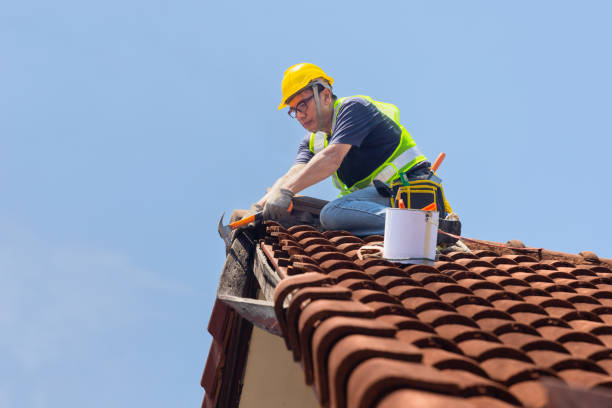 Best Roof Ventilation Installation  in USA